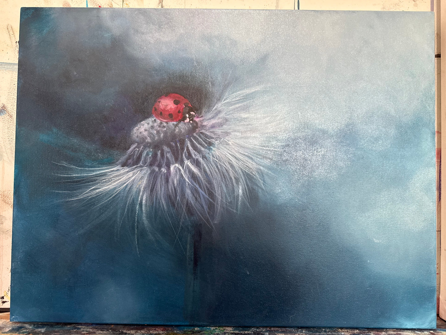 Dreamy Ladybug