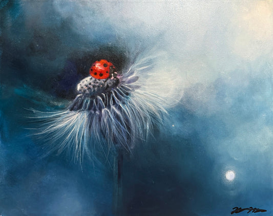 Dreamy Ladybug
