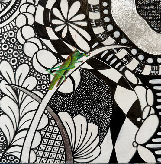 Cricket Muse